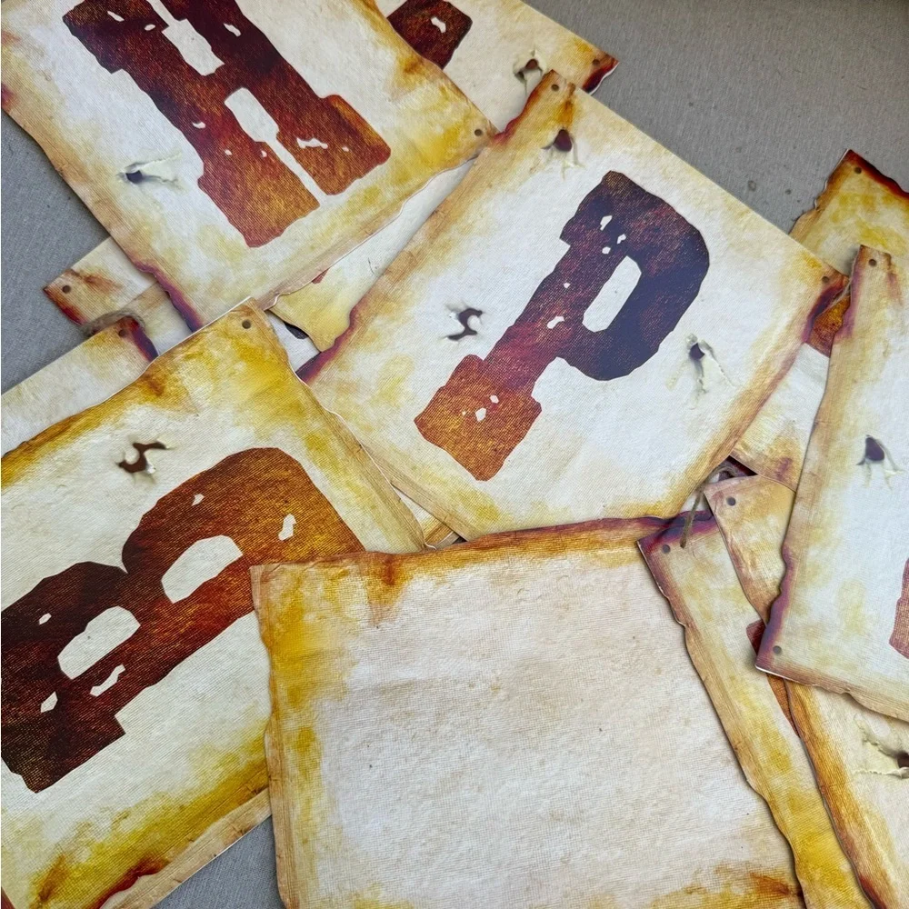 2 Western Rodeo Party Banners